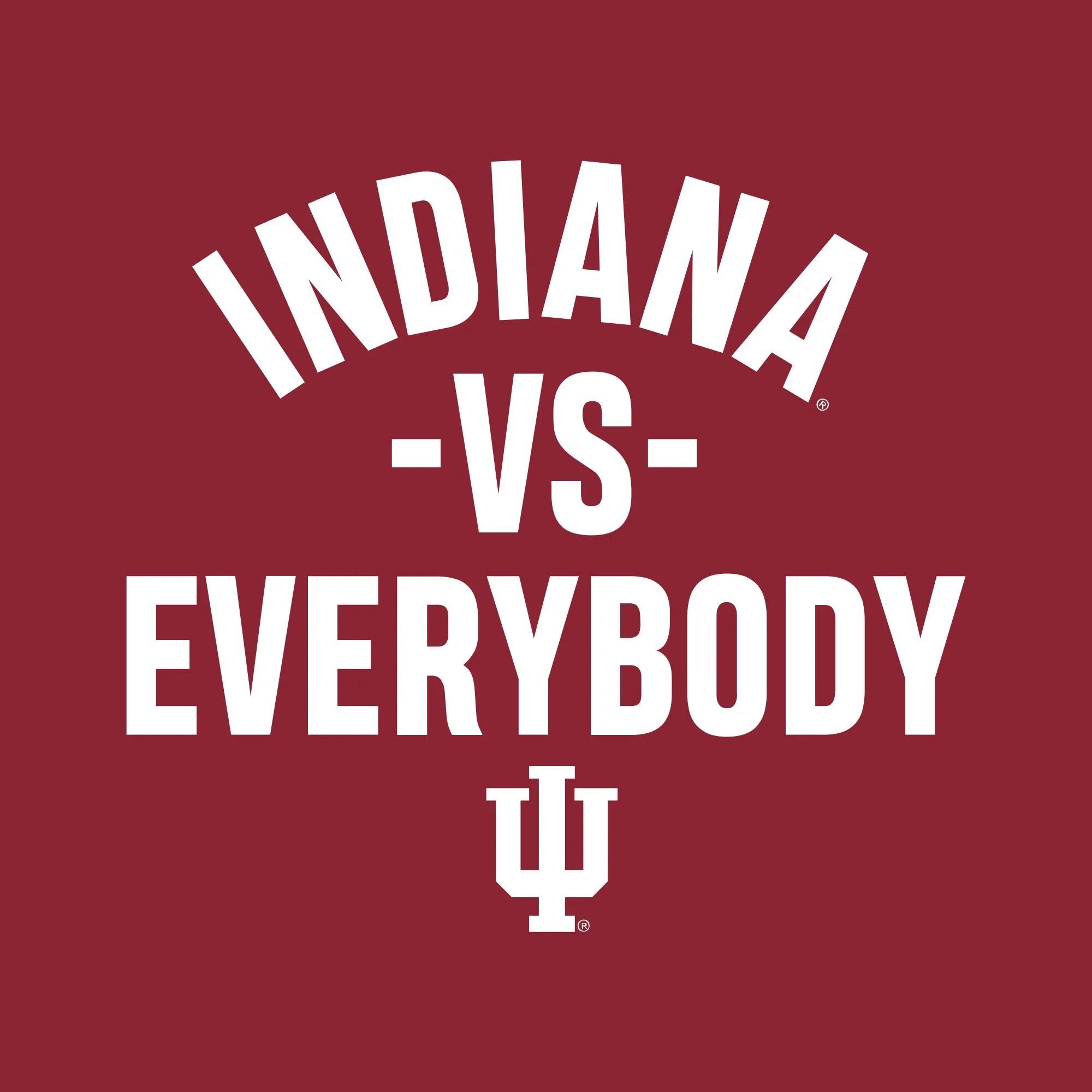 Indiana Vs Everybody Hoodie - Cardinal