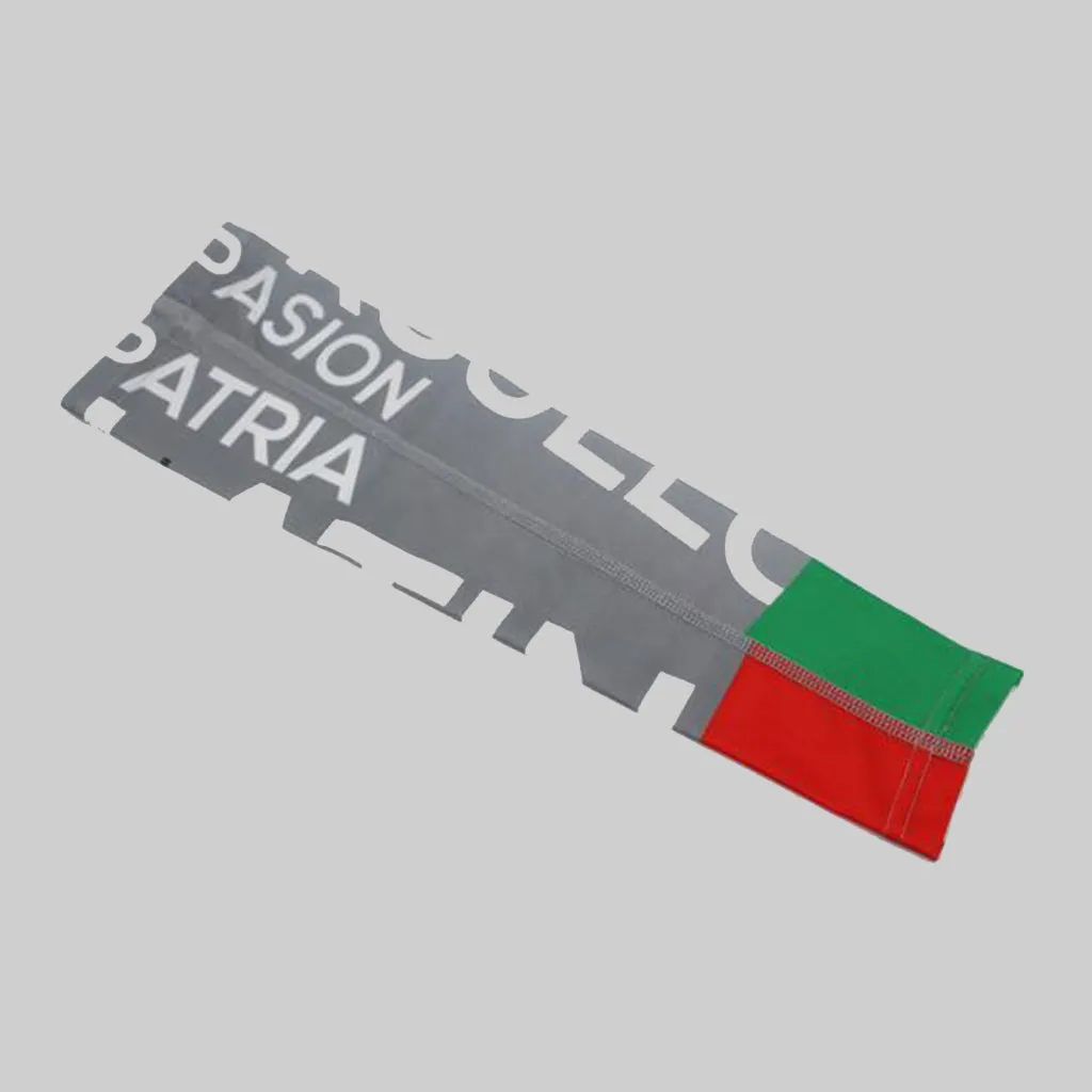 Latino Flags!