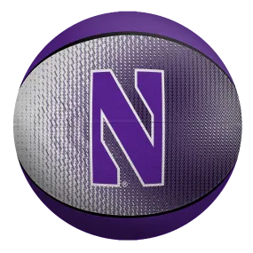 Northwestern Wildcats Mini Rubber Basketball